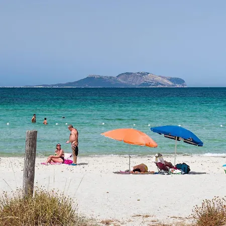 Marina Maria Murta Maria